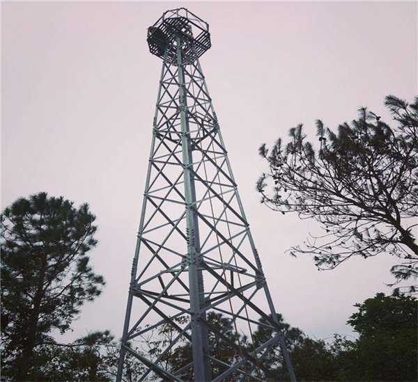 森林防火水蜜桃视频免费生產廠家價格實惠施工方案 