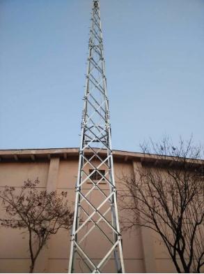 成人蜜桃视频在线看