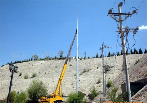 成人蜜桃视频在线看的避雷線與避雷針有什麽不同?