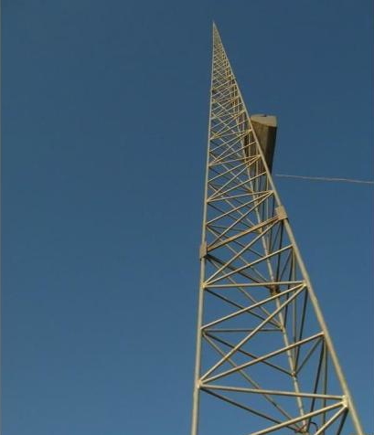 成人蜜桃视频在线看主要有哪些的類型呢？