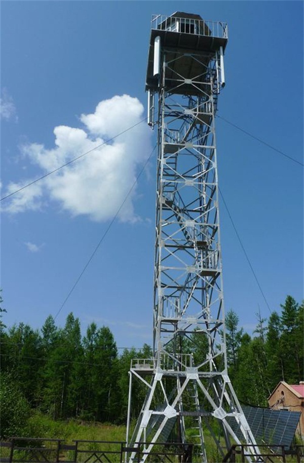 森林水蜜桃视频免费是怎樣製作的？