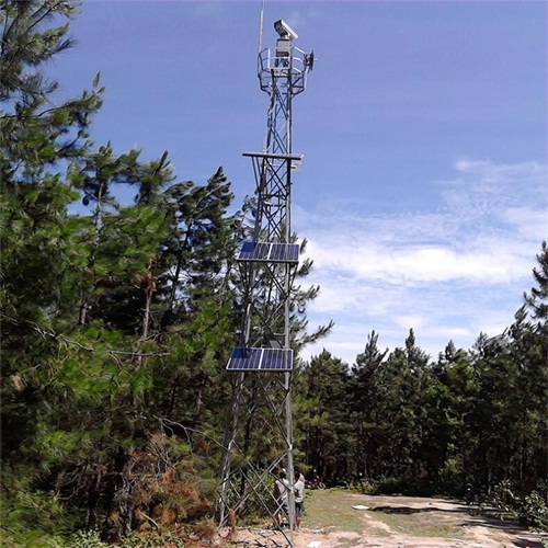 25米水蜜桃视频免费