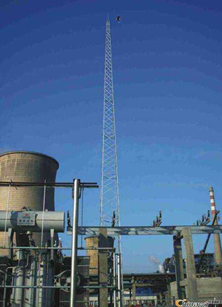 11m成人蜜桃视频在线看要多少錢？