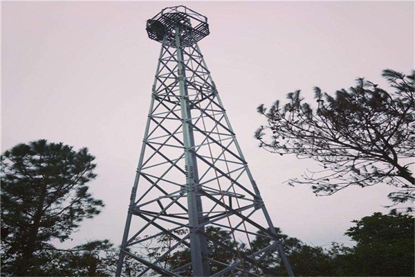 10米水蜜桃视频免费價格哪家好？